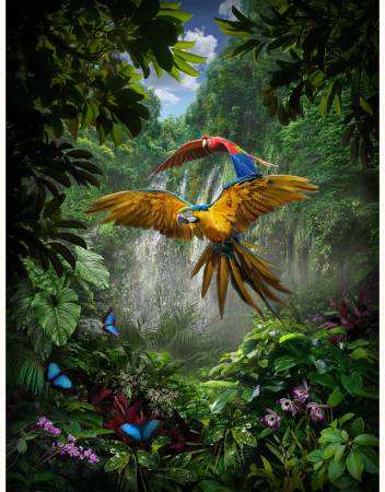 Amazon Birds Digitally Printed