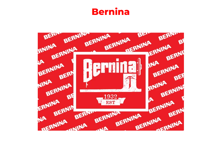 Bernina Micro Puzzle