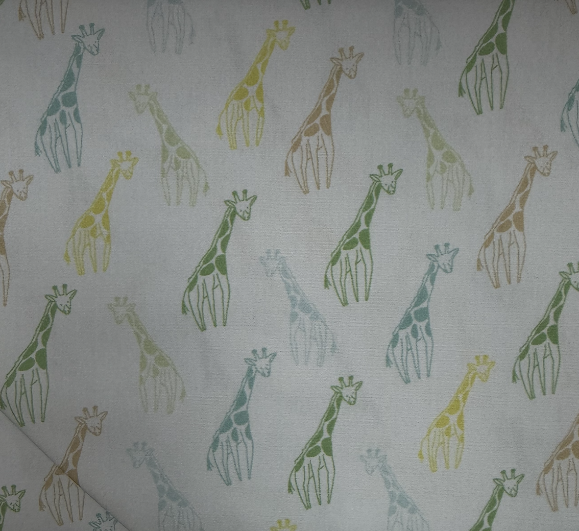 Giraffe #2458