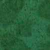Fairy Frost Evergreen