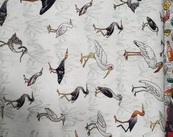 Louisiana Birds #2607