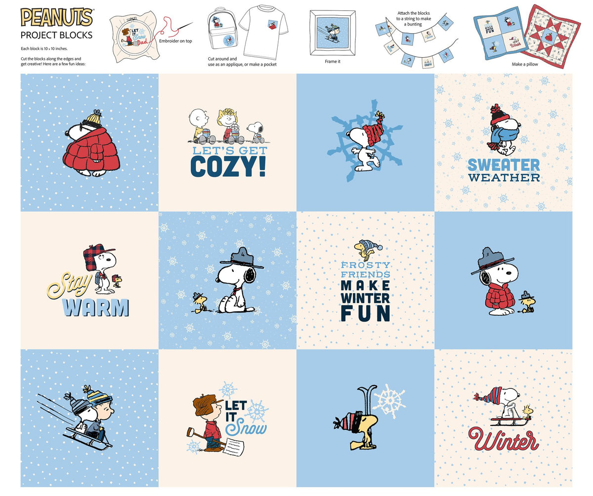 Peanuts Frosty Friends Project Blocks
