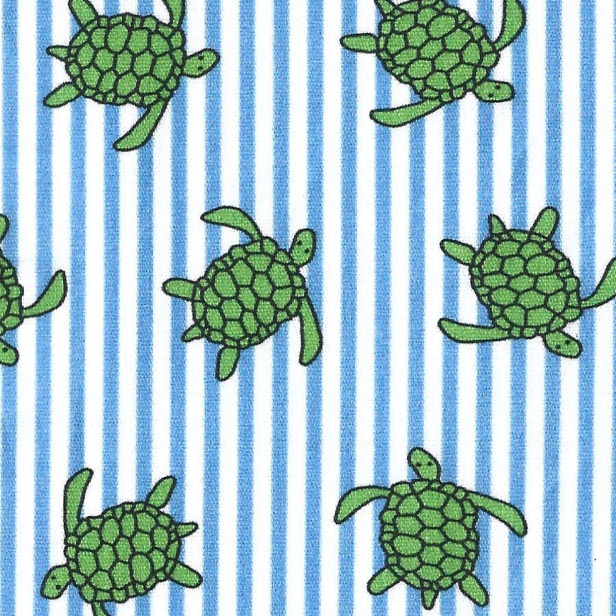 Turtles/Blue Stripe #2636